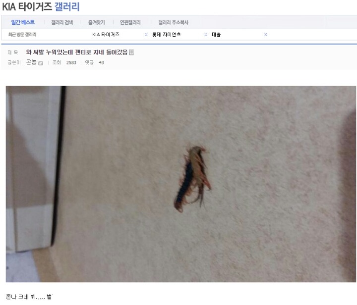 오늘자 팬티에 지네 들어간 디씨인 | 인스티즈