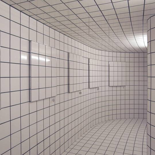 White | 인스티즈