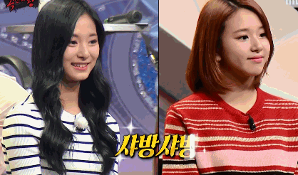 [트와이스] 라인정리 아홉번째 -급식단- | 인스티즈