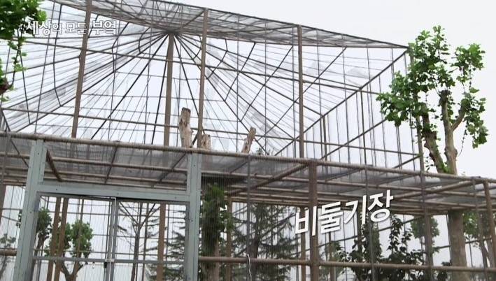 중국여자랑 결혼한 일반인 한국남자 | 인스티즈