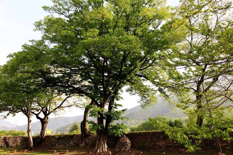 전라남도 순천 낙안읍성 마을의 진짜 한국적인 풍경 (안구정화) | 인스티즈