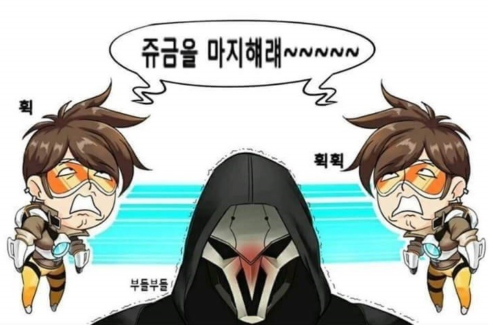 오버워치 리무룩 | 인스티즈