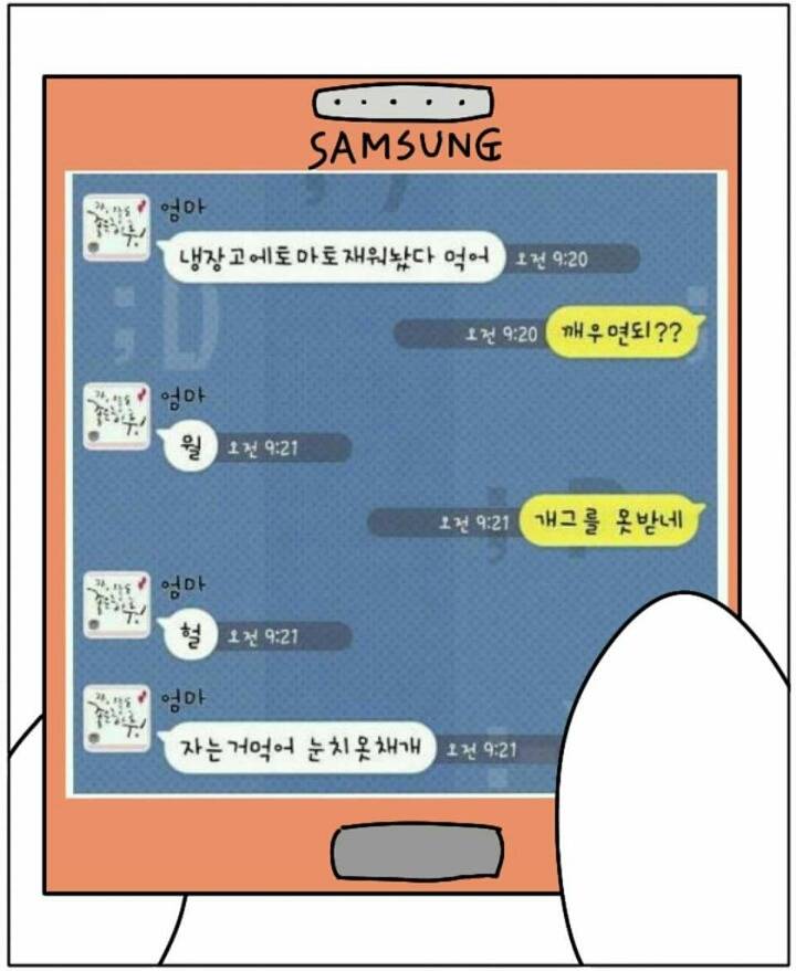 냉장고에 토마토 재워놨으니까 먹어 | 인스티즈