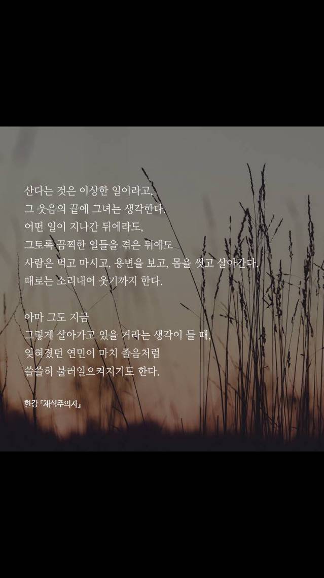 한강 [채식주의자] 속 문장들 | 인스티즈