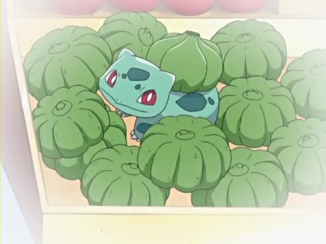 빠지면 답없는 매력의 포켓몬.jpgif | 인스티즈