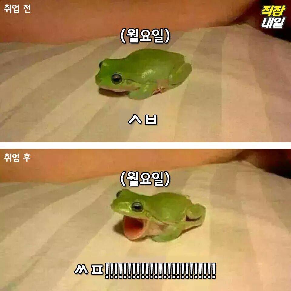 직장인이 되기 전과 후.jpg | 인스티즈