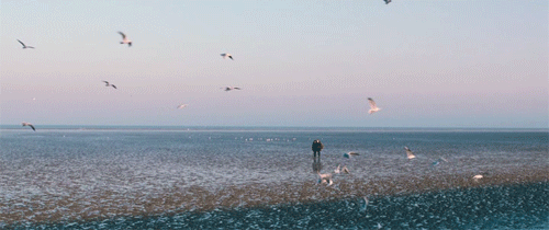 [영화] 진저 앤 로사 (2012) | 인스티즈