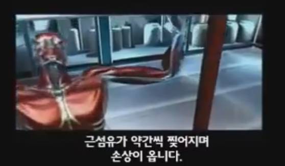 근육이 자라는 과정 | 인스티즈