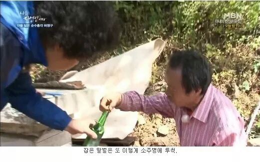 나는 자연인이다 레전드.JPG | 인스티즈