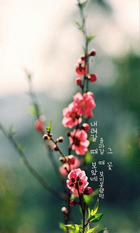 당신 생각을 켜 놓은 채 잠이 들었습니다 | 인스티즈