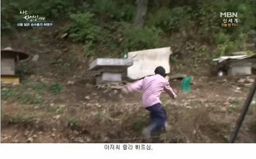 나는 자연인이다 레전드.JPG | 인스티즈