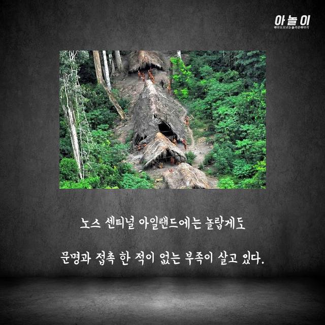 들어가면 바로 살해당하는 섬...ㄷㄷ | 인스티즈