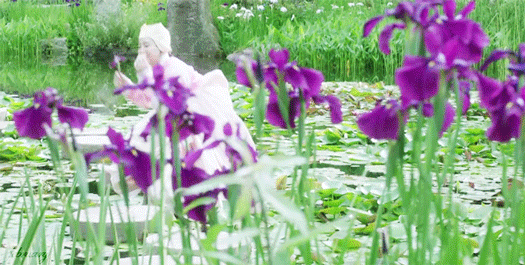 구르미 PD가 엽록소 변태 소리 듣는 이유.gif | 인스티즈