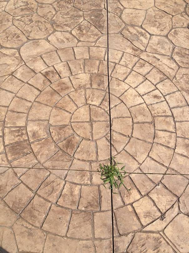 보면 편안해지고 마음이 안정되는 사진들.jpg | 인스티즈