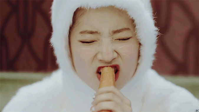 트와이스 애완동물 토끼 다현.gif | 인스티즈