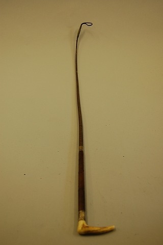 말 안 되는데 말 되는 고래로 늑대잡기.jpgif | 인스티즈