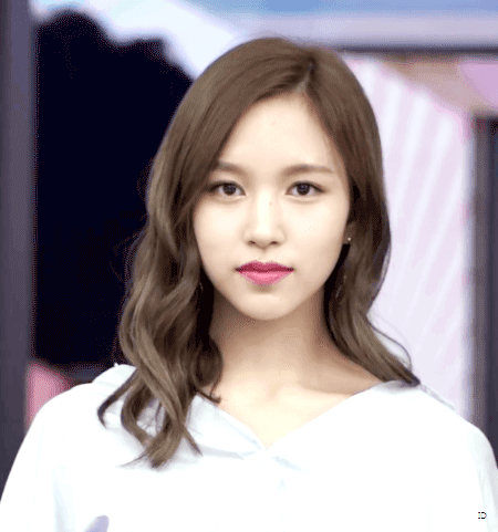 묘이랑 안 웃고 눈싸움 이길수 있는 사람!! | 인스티즈