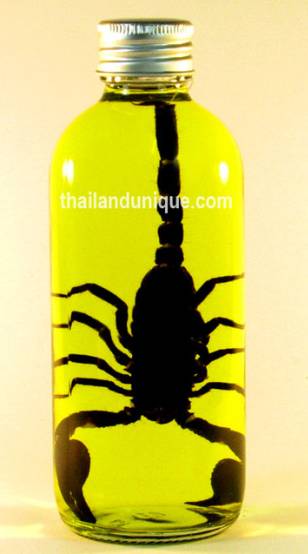 각종 술 (혐오주의) | 인스티즈