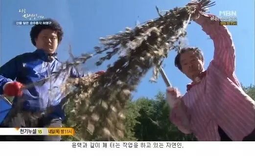 나는 자연인이다 레전드.JPG | 인스티즈