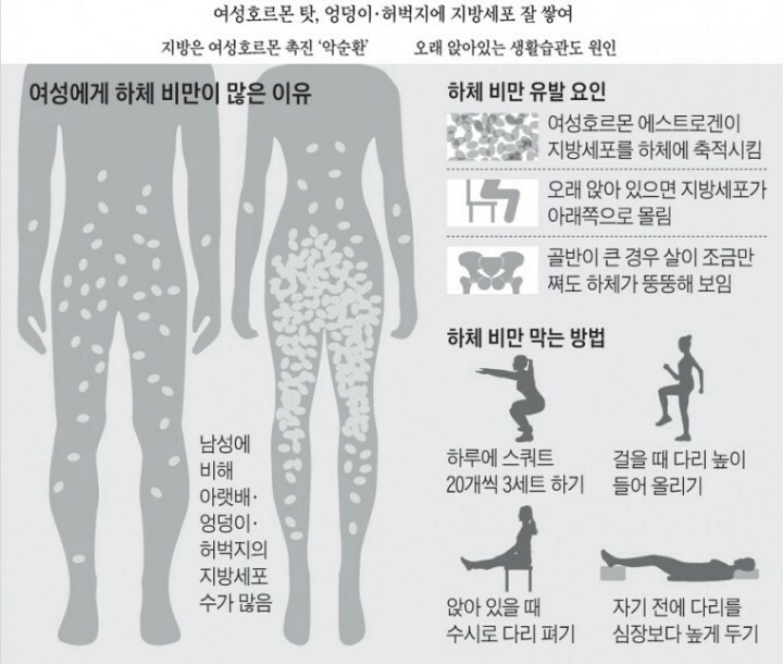 여자 하비가 많은 이유 | 인스티즈