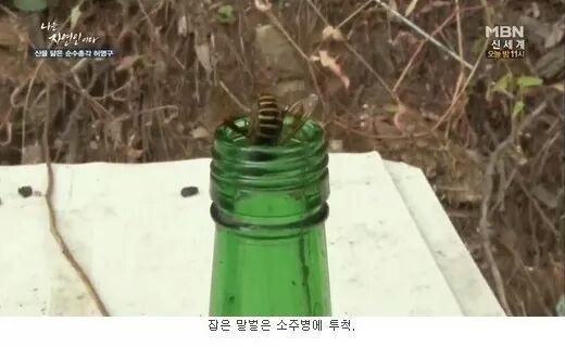 나는 자연인이다 레전드.JPG | 인스티즈