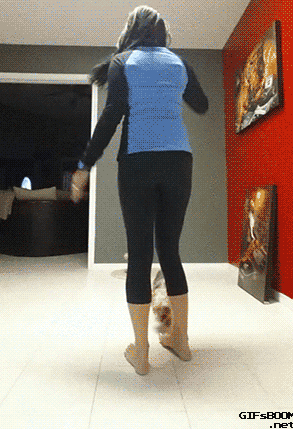 마지막까지 빵 터지는 뜻밖의 강아지 #1 | 인스티즈