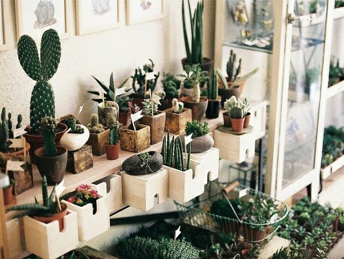 내가 만난 사람은 모두 아름다웠다 | 인스티즈