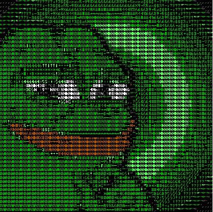 2017년 첫 개구리 | 인스티즈