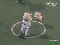 한국과 일본의 깨방정甲 마스코트(짤줍).jpgif | 인스티즈