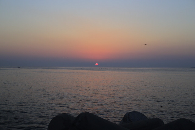 2017 새해 첫 일출 | 인스티즈