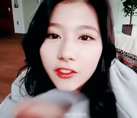트와이스 큐티 사나.gif | 인스티즈