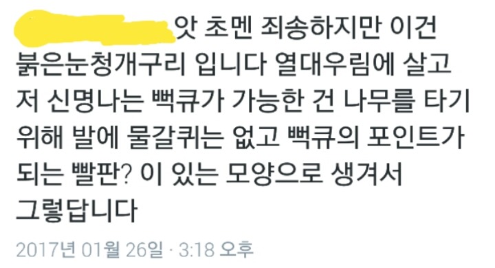 를 시원하게 날리고 신명나게 춤추는 개구리.jpg | 인스티즈