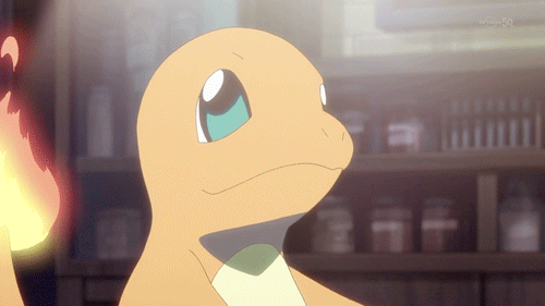 [포켓몬스터] 파이리형 2d 지조 투표 수가 낮아서 놀랬내... | 인스티즈