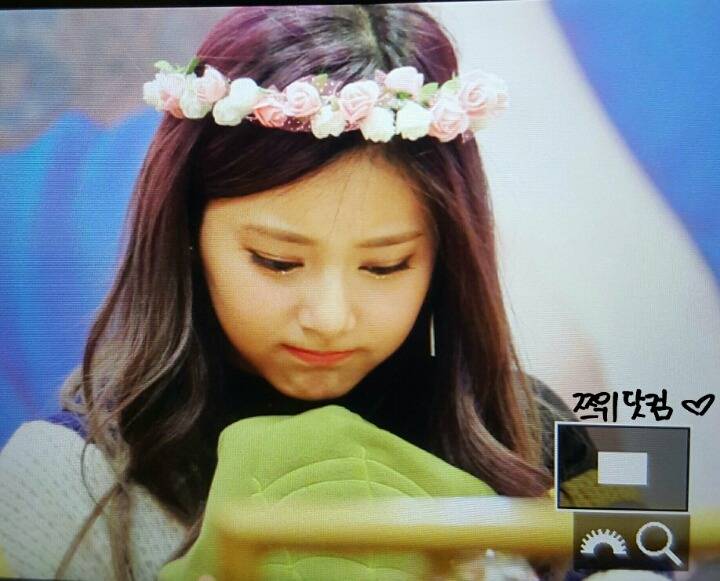 [트와이스] 멍뭉이 같은 쯔위 | 인스티즈