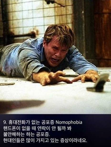 공포증 종류 | 인스티즈