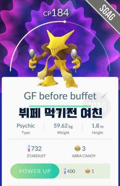 천조국의 흔한 포켓몬고 작명.jpg | 인스티즈