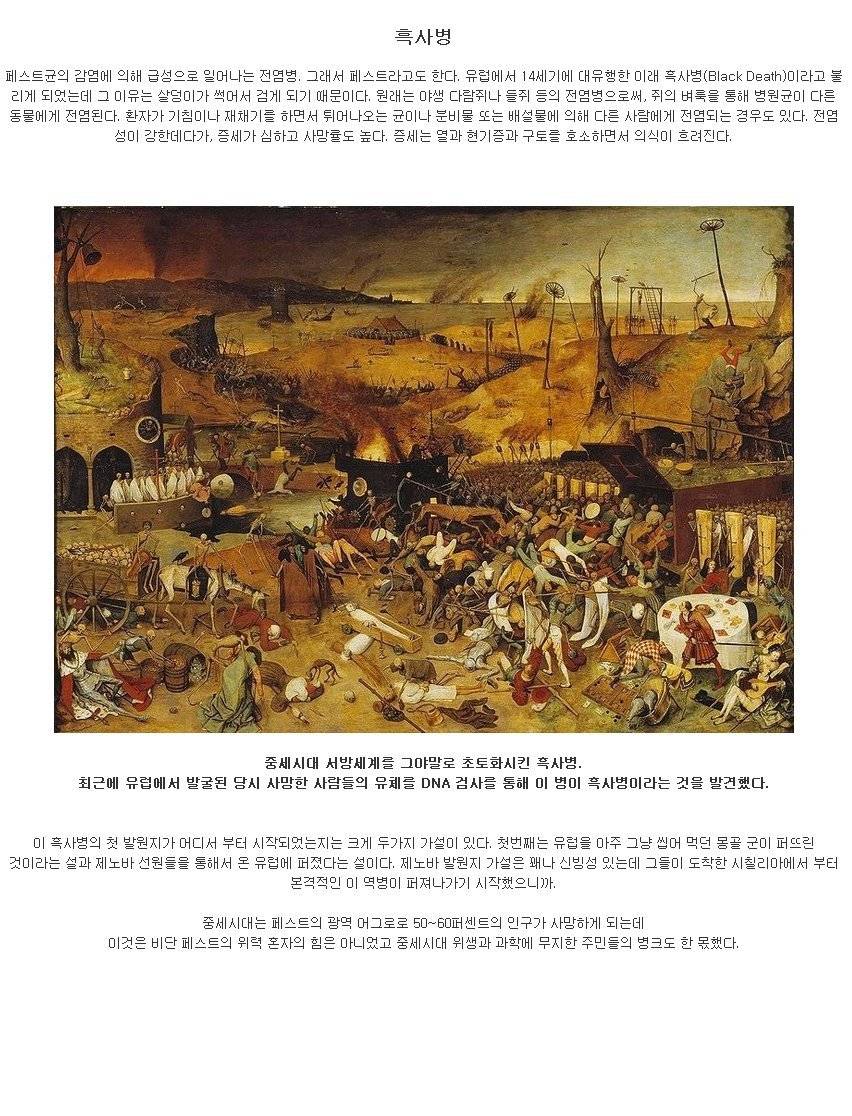 흑사병과 중세시대 주민들의 뻘짓 | 인스티즈