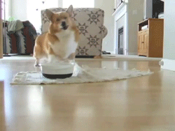 먹을거야?? 나도 줄거지?? | 인스티즈