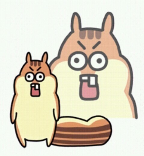 친구랑 다이소 갔을 때 공감 | 인스티즈