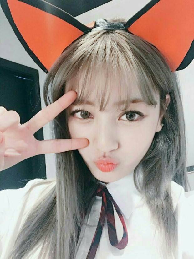 2월1일은 트와이스 지효 보고가세요 | 인스티즈