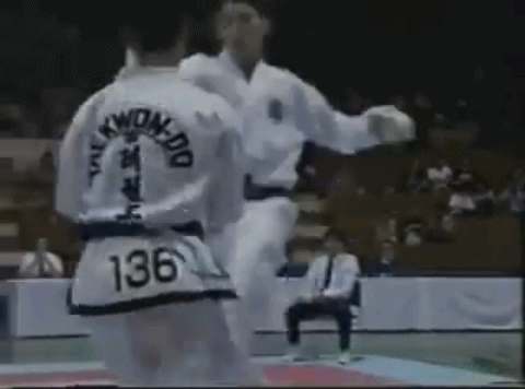 철권 화랑의 실제 모델 ITF 황수일 | 인스티즈