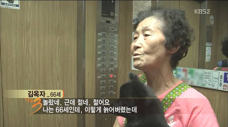 다큐3일에 나온 노인택배.80살 넘어도 12시간을 일하는 사람들 | 인스티즈