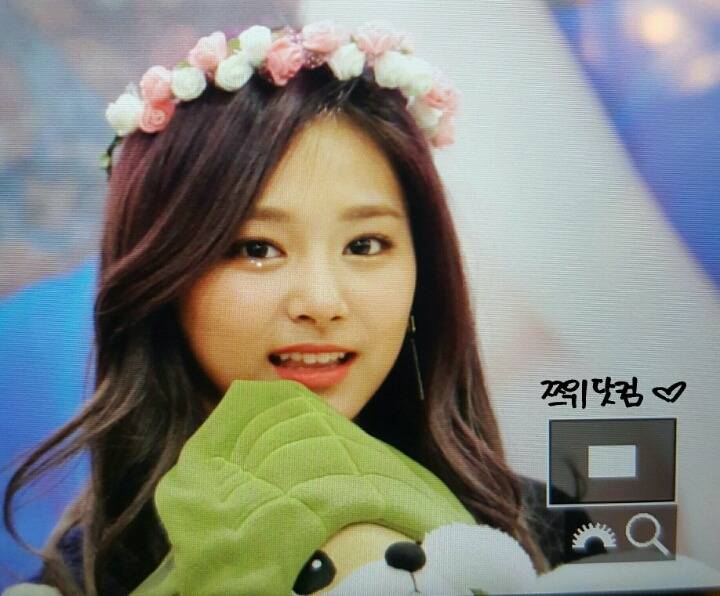 [트와이스] 멍뭉이 같은 쯔위 | 인스티즈