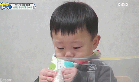 바나나 까달라고 쳐다보는 대박이.gif | 인스티즈