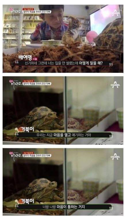 엄마의 죽음을 받아들이는 아이 | 인스티즈