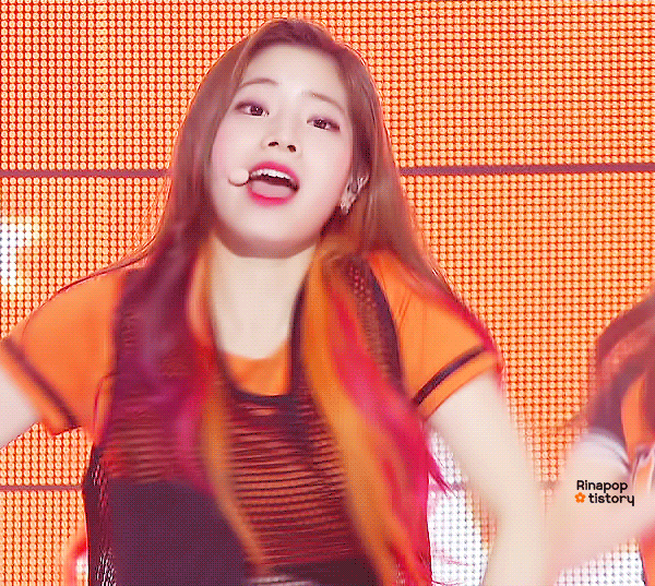 취향따라 갈린다는 트와이스 비쥬얼.gif | 인스티즈