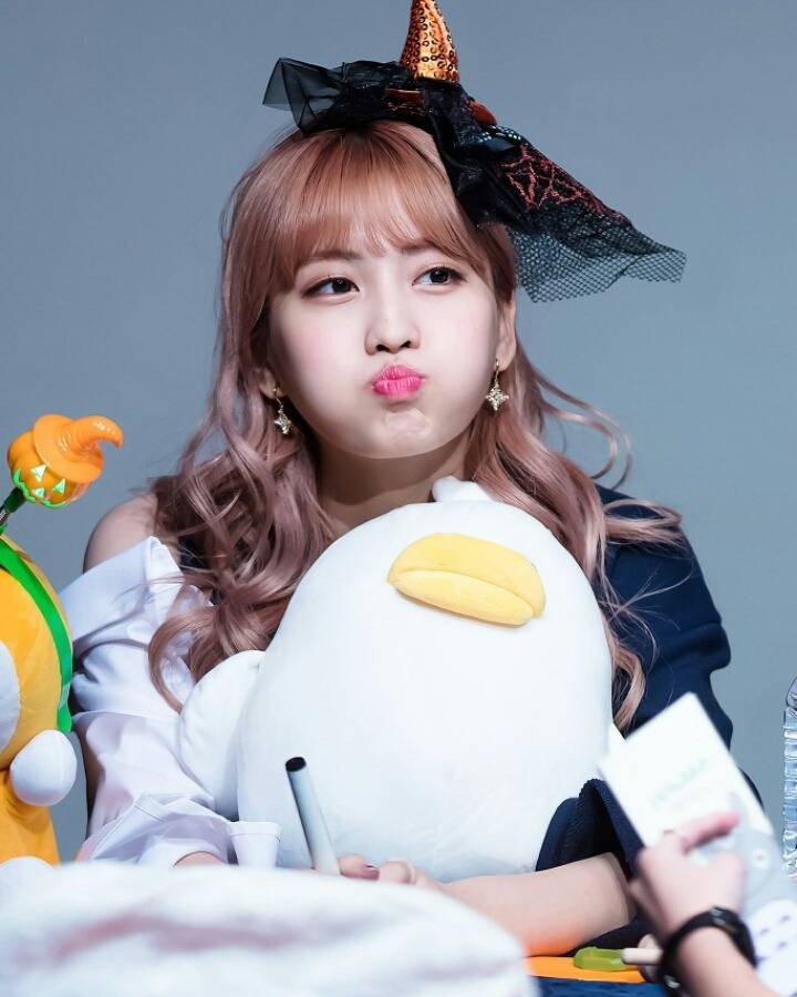 2017년 새해첫 트와이스 | 인스티즈