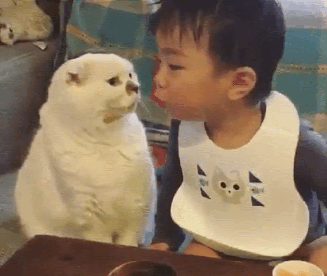 고양이한테 뽀뽀하는 어린이 | 인스티즈