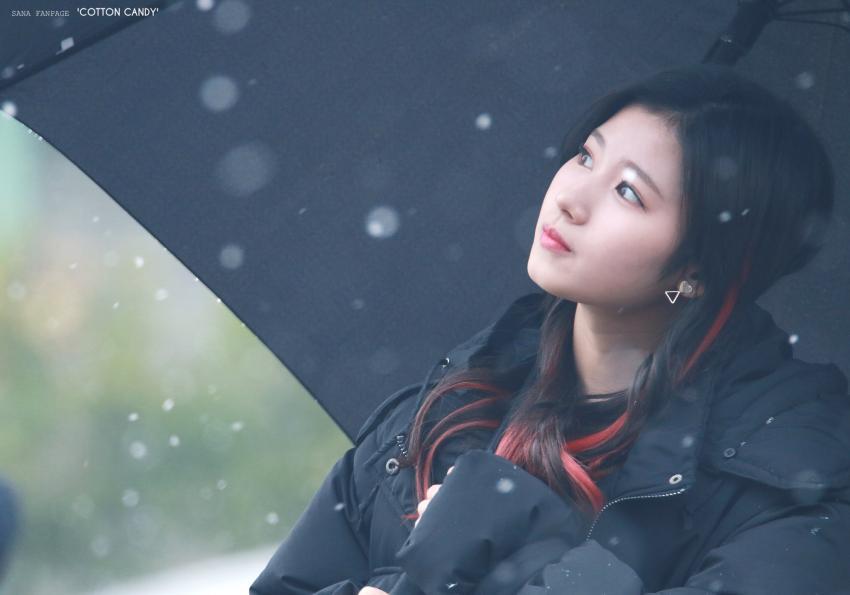 [트와이스] 첫눈속에 피는 사나 | 인스티즈