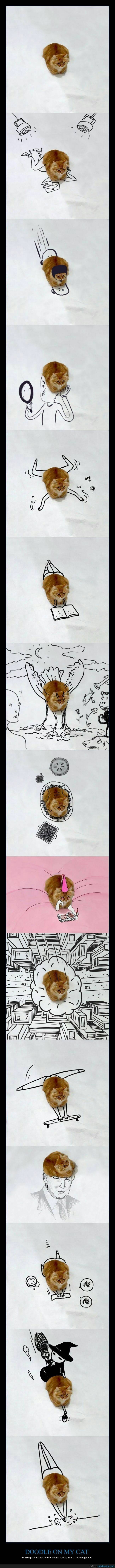재밌는 고양이 일러스트라긔 | 인스티즈